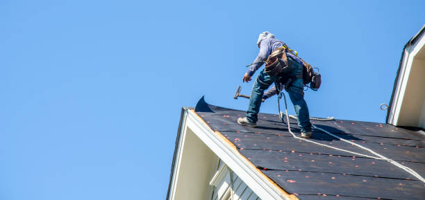 Best Commercial Roofing Services  in Lady Lake, FL